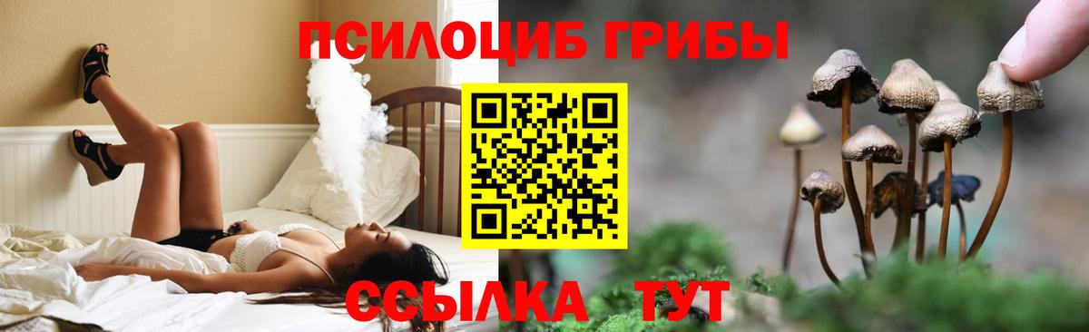 Псилоцибиновые грибы MAGIC MUSHROOMS Волжск